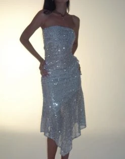 Carita Midi Skirt In Sequin Knit Silver -Outlet Modi Vora Store BRILIA BANDEAU TOP SEQUIN KNIT SILVER CARITA MIDI SKIRT SEQUIN KNIT SILVER 19 9554a07e 6c67 481c b6ee 2b063dceb310